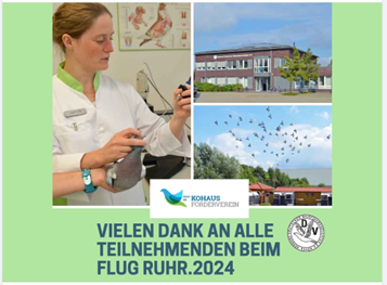 Bild4
