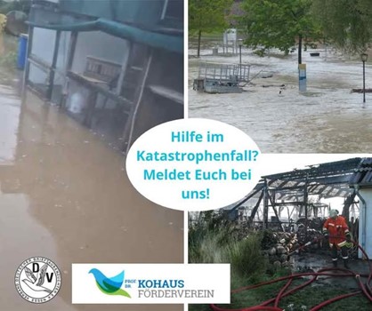 Bild5