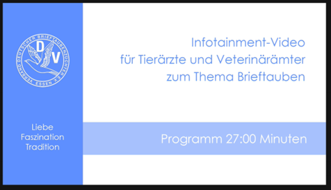 Bild6