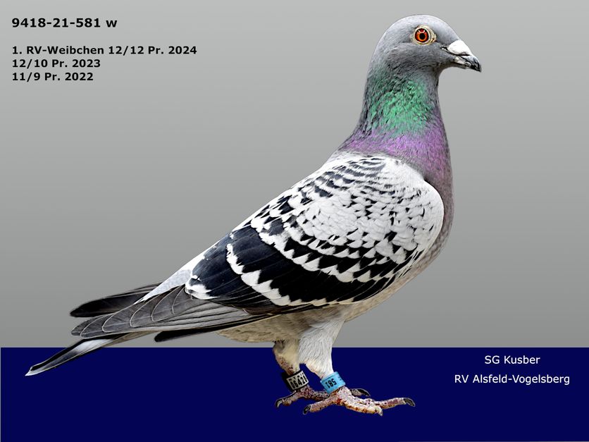 Kusber-21-581W