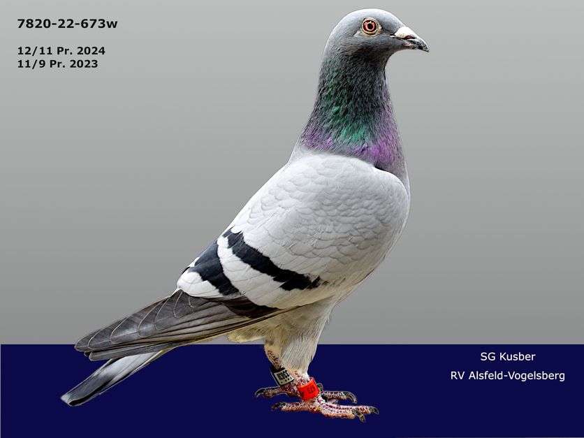 Kusber-22-673W